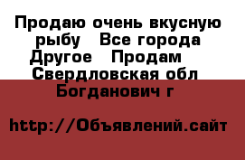 Продаю очень вкусную рыбу - Все города Другое » Продам   . Свердловская обл.,Богданович г.